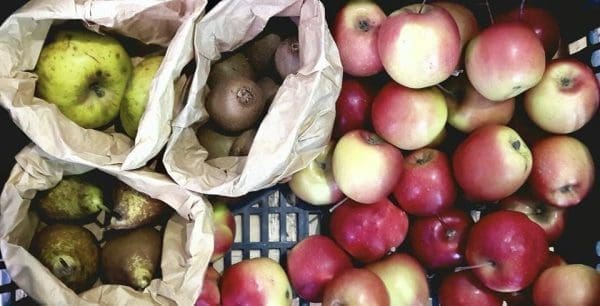 Frukt