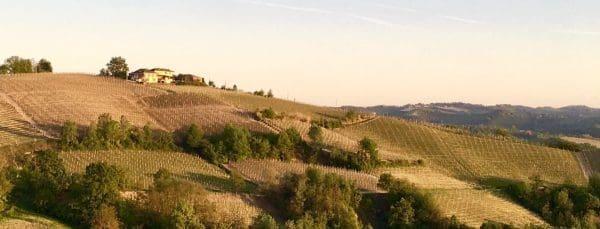 IMG_1265