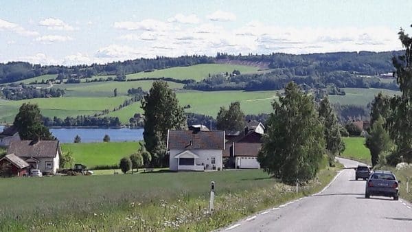 IMG_2653