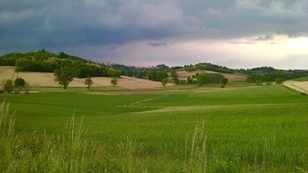 IMG_4603