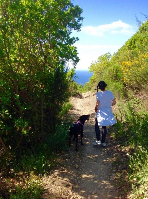 image82